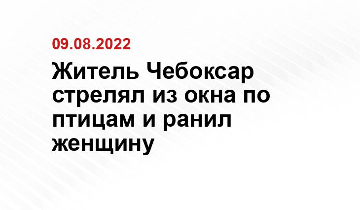 https://static.mvd.ru/upload/site24/document_images/Pnevmaticheskiy_Pistolet_ulica_Dementeva-800x600.jpg