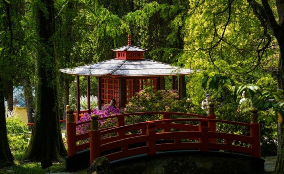 Американский протекционизм усилил положение Китая в мире, считает эксперт Американский протекционизм усилил положение Китая в мире, считает эксперт