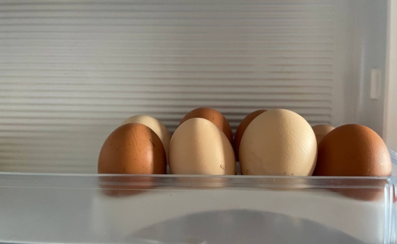 Секрет омлета как в детском саду: бабушка-повар открыла способ, как взбивать яйца в воздушное облако Секрет омлета как в детском саду: бабушка-повар открыла способ, как взбивать яйца в воздушное облако